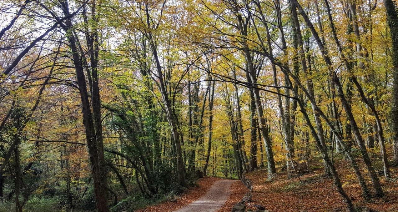 Can Costa Olot Εξωτερικό φωτογραφία